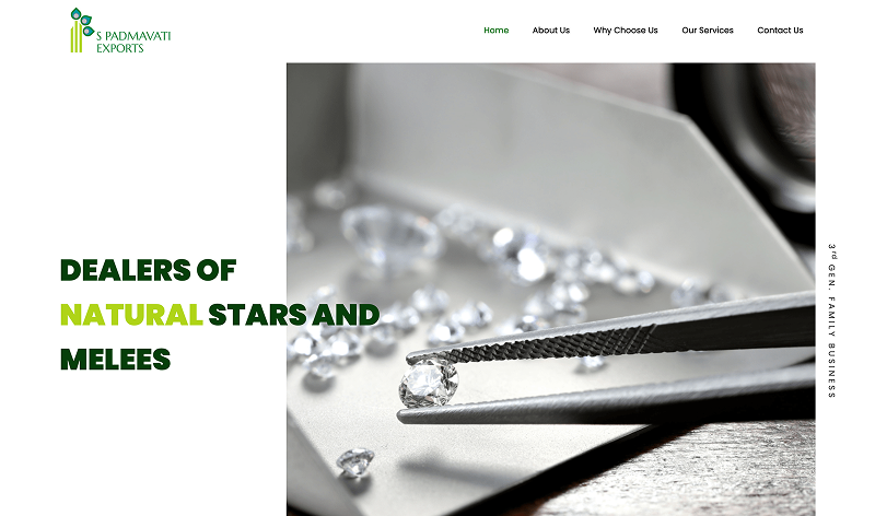 Website Development Project by Adroit Alliance Mumbai - Project 17