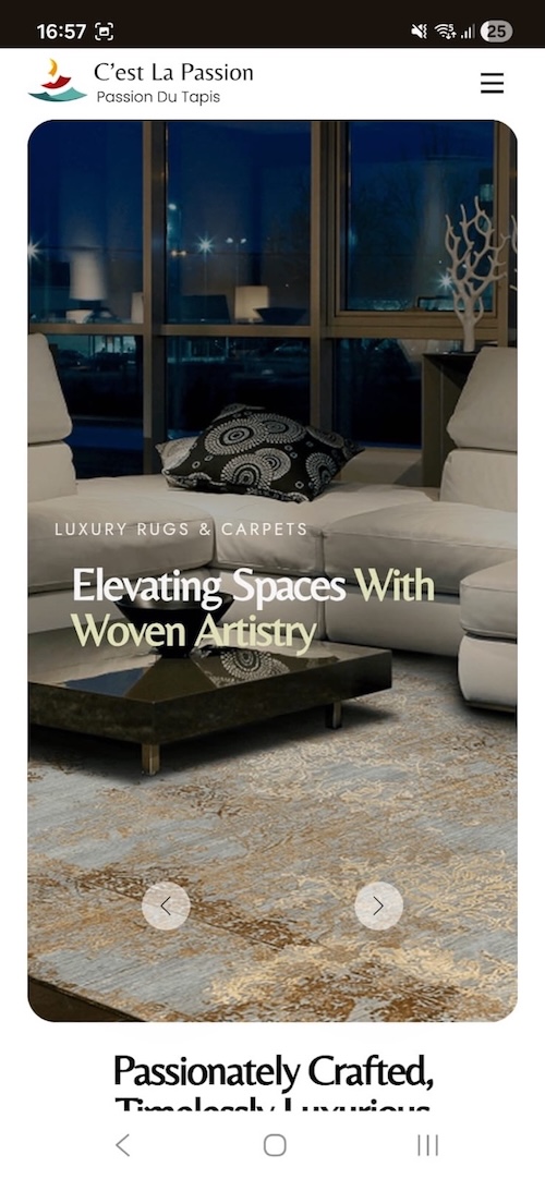 Adroit Alliance Website Development Portfolio