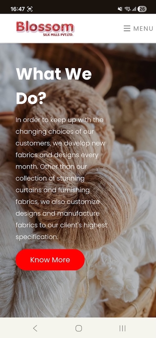 Adroit Alliance Custom Website Example