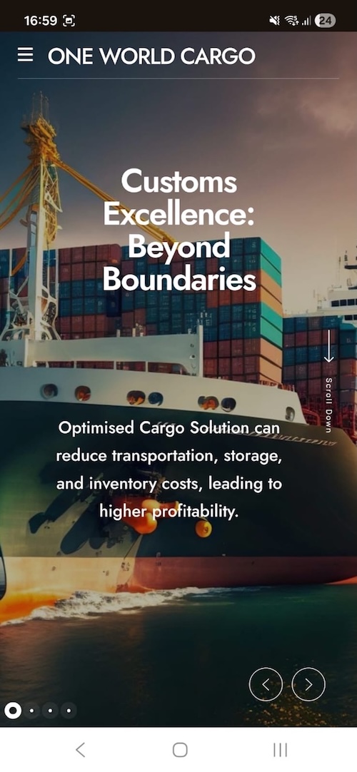 Adroit Alliance Professional Web Design